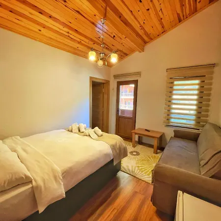Tellioglu & Mericoglu Hotel *