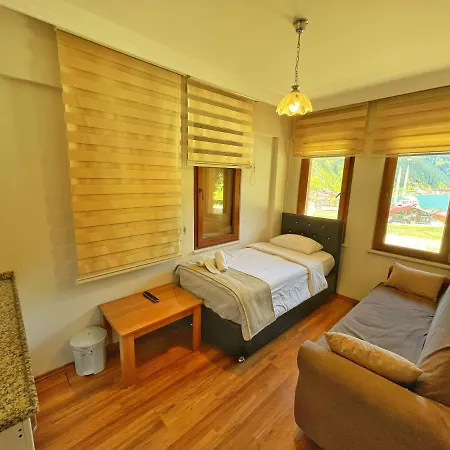 Hotel Tellioglu & Mericoglu Uzungol