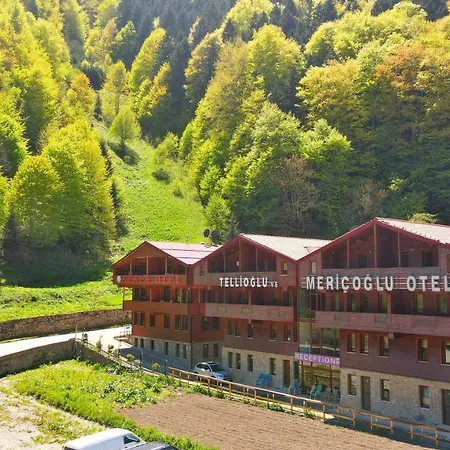 Tellioglu & Mericoglu Hotel