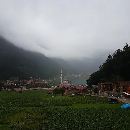 Tellioglu & Mericoglu Hotel *