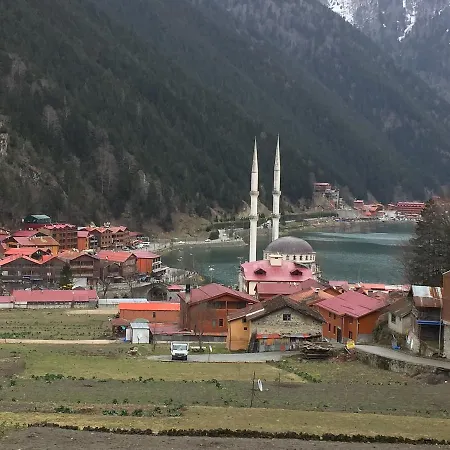 Tellioglu & Mericoglu Hotel Uzungol