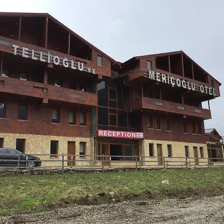 Tellioglu & Mericoglu